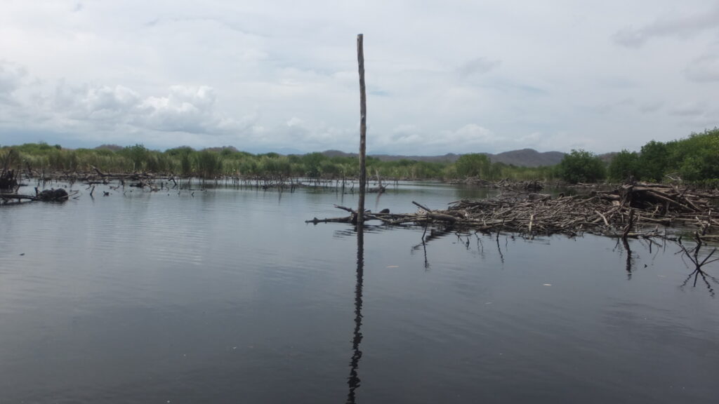 Laguna de Ventanilla en Santa María Tonameca, Oaxaca