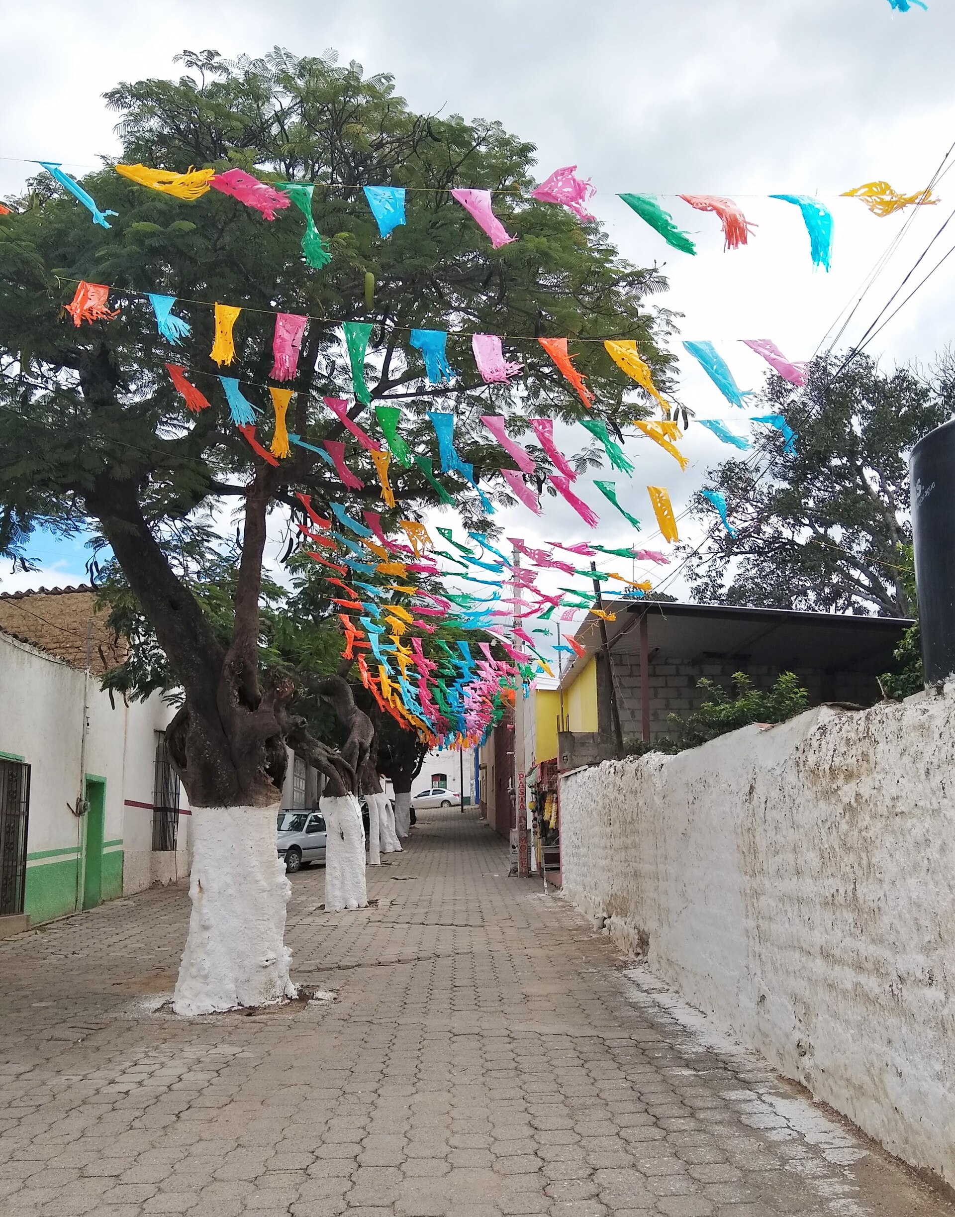 Calle Ángel Gil Alfaro en Teotitlán de Flores Magón, Oaxaca